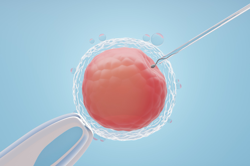 Fertility Services